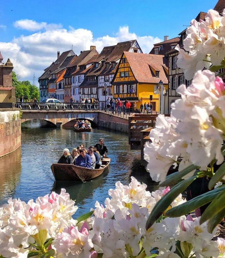 Djokovic'S Apartment Colmar Ngoại thất bức ảnh